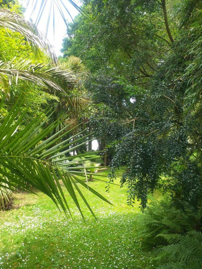 Villa Un Jardin en Pente Douce Locquenole Exterior foto