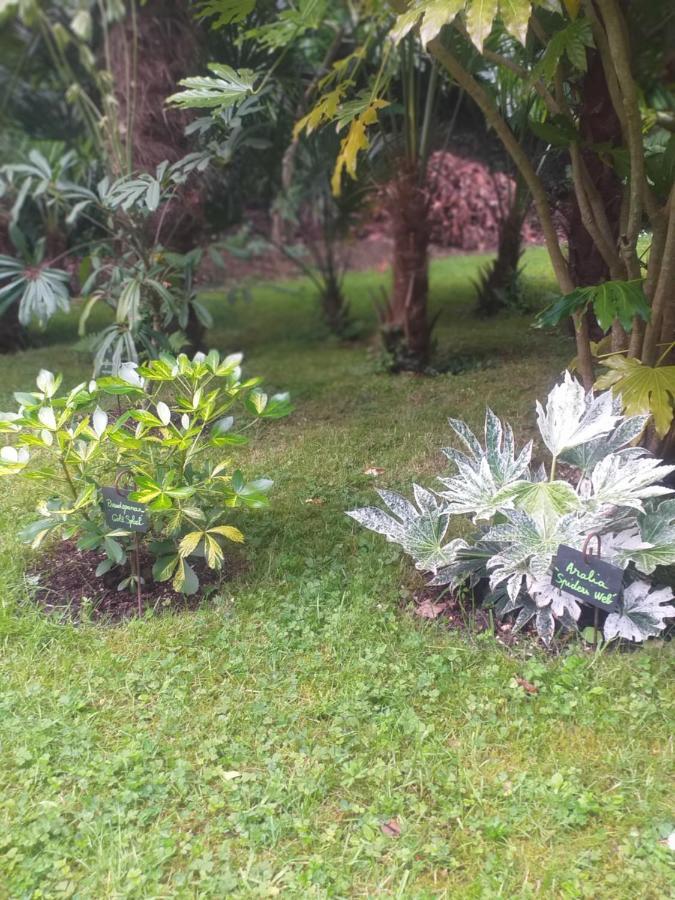 Villa Un Jardin en Pente Douce Locquenole Exterior foto