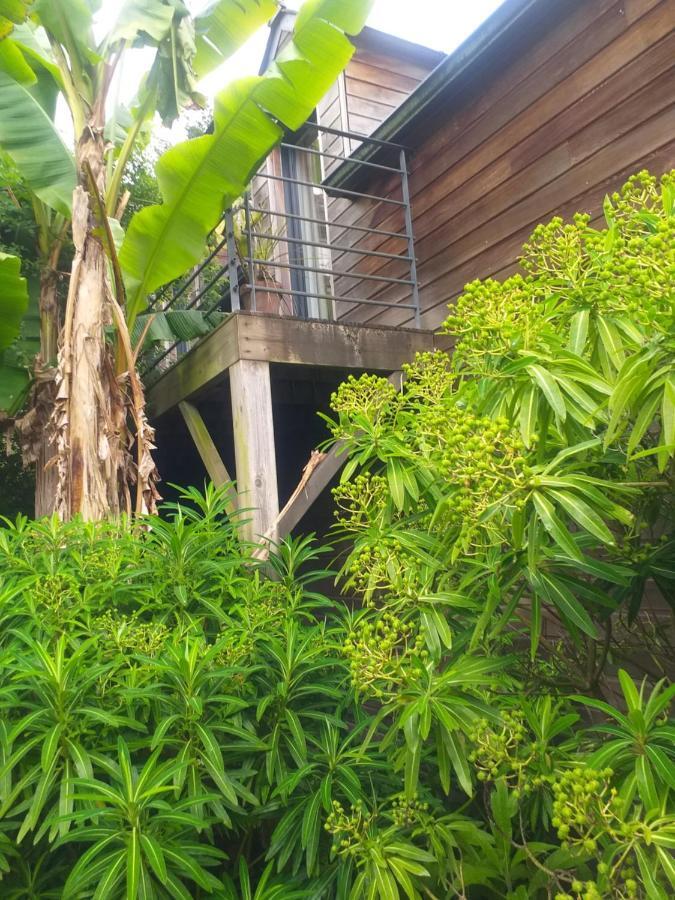 Villa Un Jardin en Pente Douce Locquenole Exterior foto